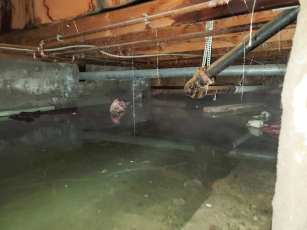 Best Flooded house restoration  in Gordon, GA
