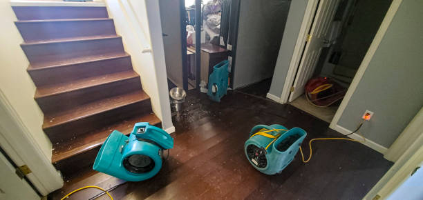 Best Flooded house restoration  in Gordon, GA