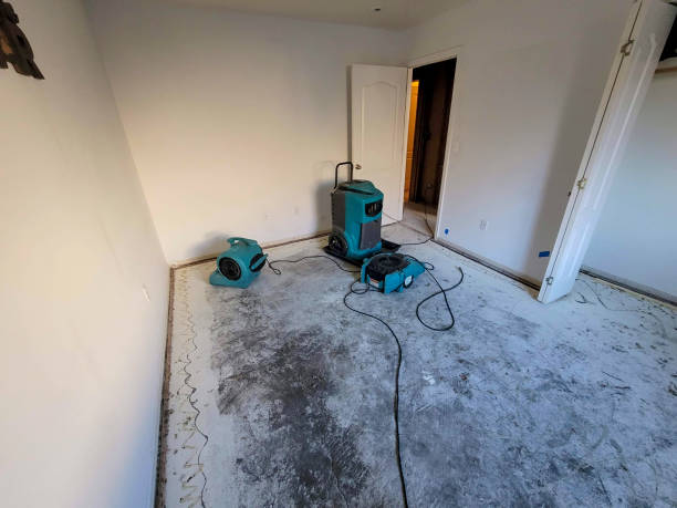 Best Fire Damage Restoration  in Gordon, GA