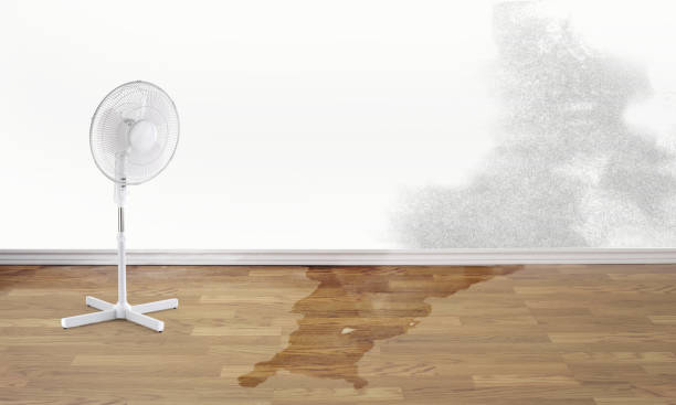 Best Flood damage cleanup  in Gordon, GA
