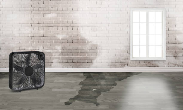 Water damage restoration experts in GA