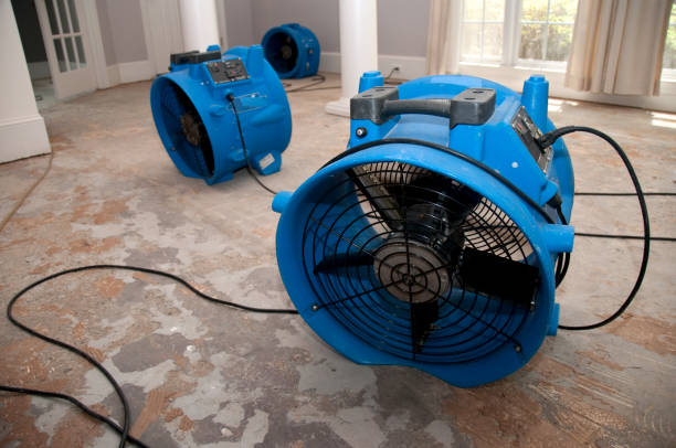 Best 24/7 water damage repair  in Gordon, GA