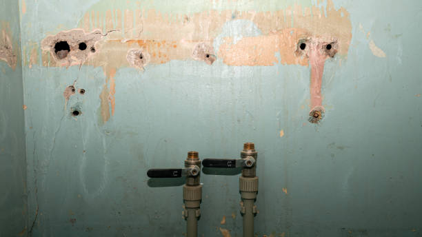 Best Water damage restoration specialists  in Gordon, GA