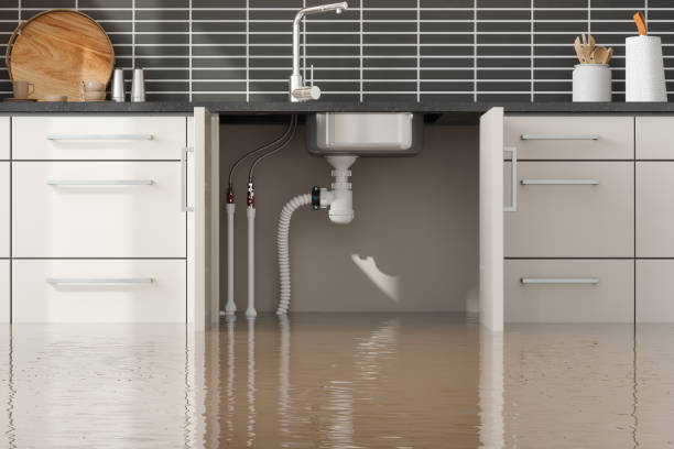 Best Basement water damage restoration  in Gordon, GA